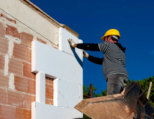 Best Insulation Maintenance and Repair in Chatmoss, VA