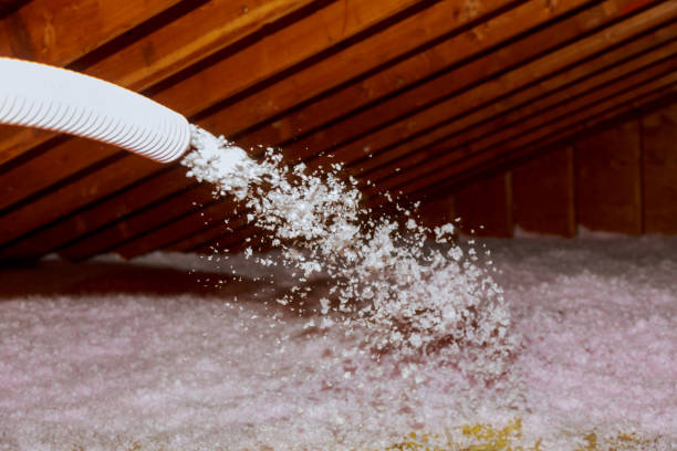 Best Energy Efficiency Insulation in Chatmoss, VA
