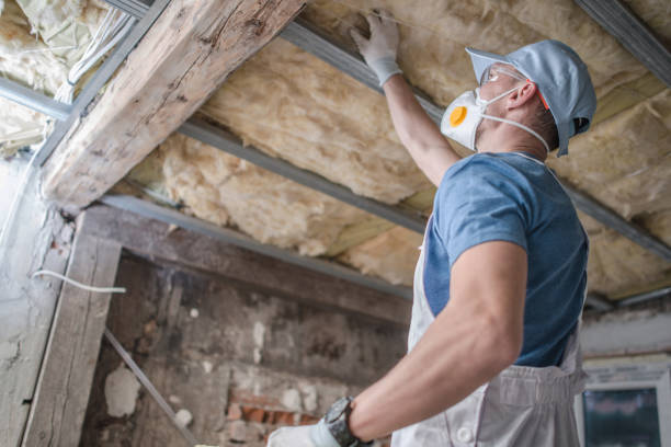Best Geographic-Specific Insulation Services in Chatmoss, VA