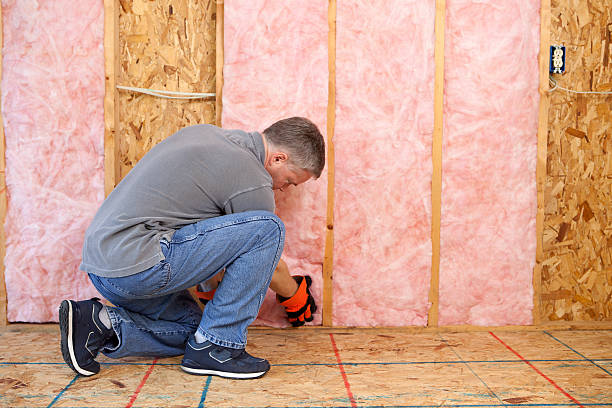 Types of Insulation We Offer in Chatmoss, VA